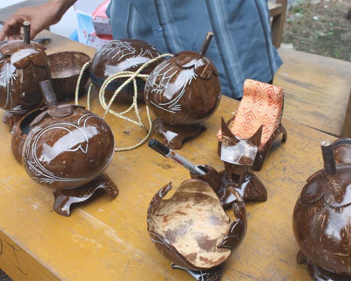 Kelapa tempurung kerajinan dari coconut toadstools shell