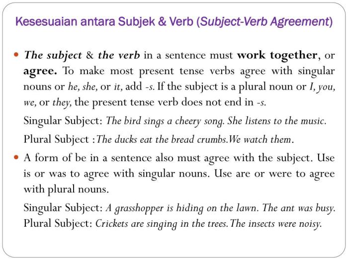 contoh subject verb agreement terbaru