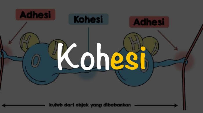 beda kohesi dan koherensi terbaru