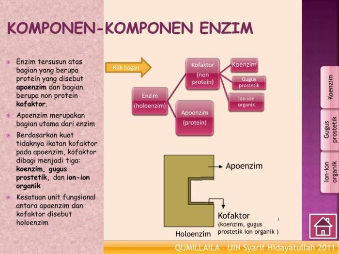 komponen enzim non protein disebut