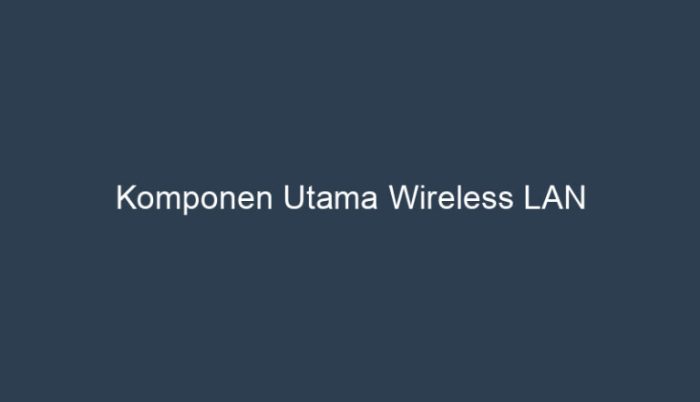 sebutkan komponen utama wireless lan