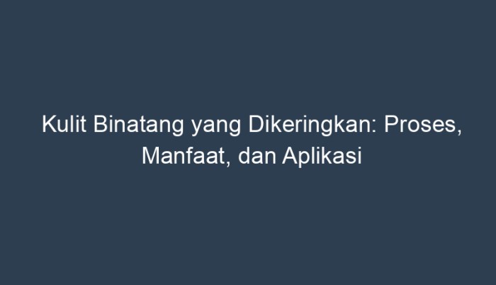 kulit binatang yang dikeringkan