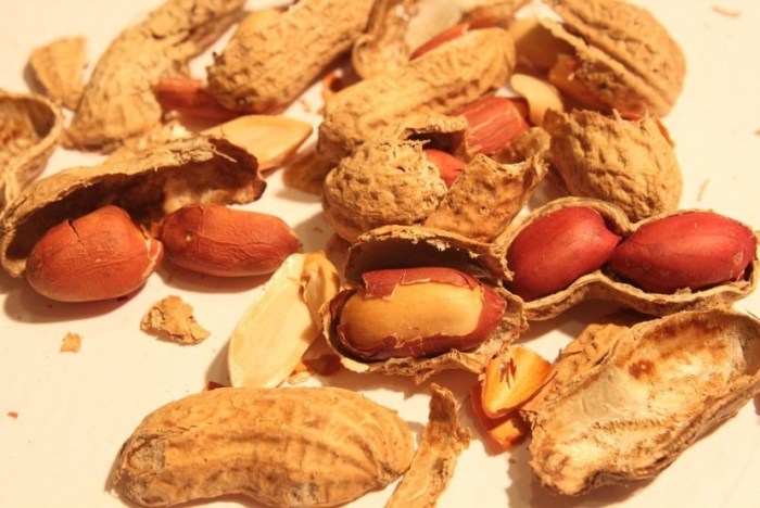 Kulit kacang termasuk dalam limbah organik