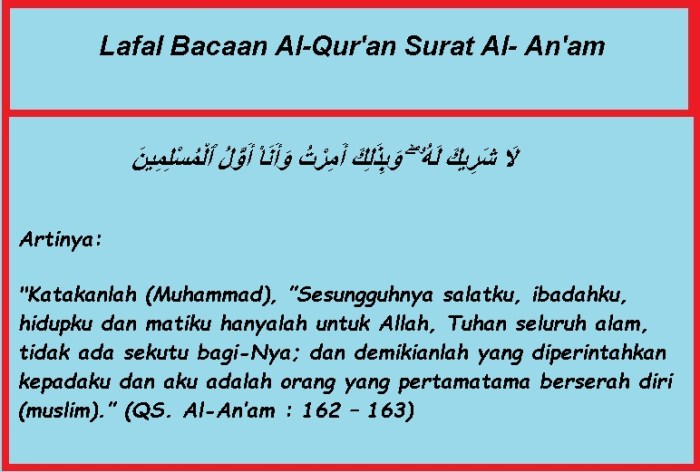 surah takwir insan quran english translation