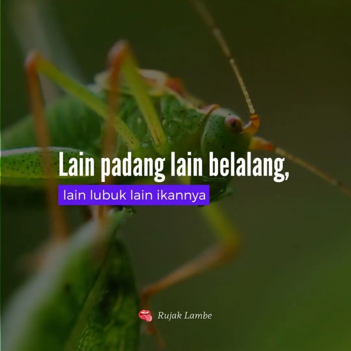 lain lubuk lain ikannya artinya