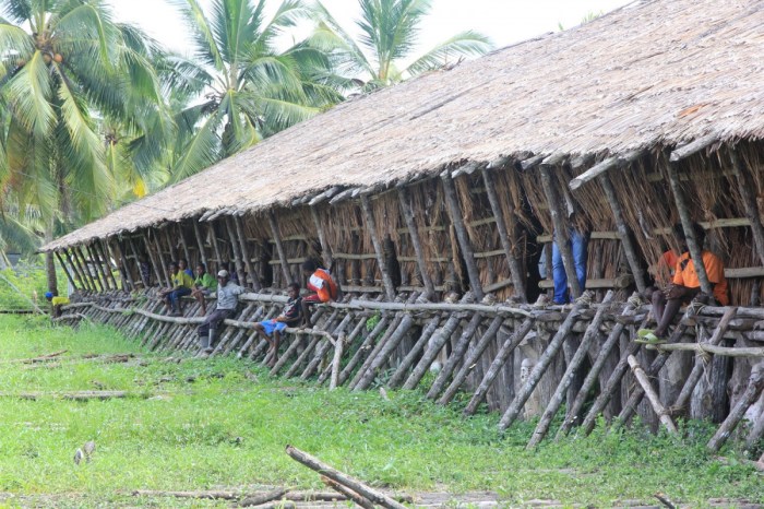 gambar rumah adat suku asmat terbaru