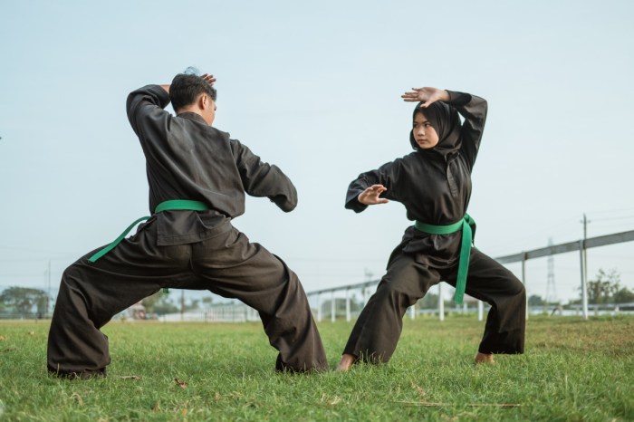 kempo perbedaan silat karate pencak beritaku dasar