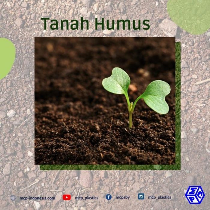 tanah humus cocok untuk tanaman