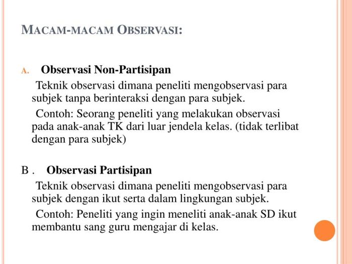 contoh observasi non partisipan