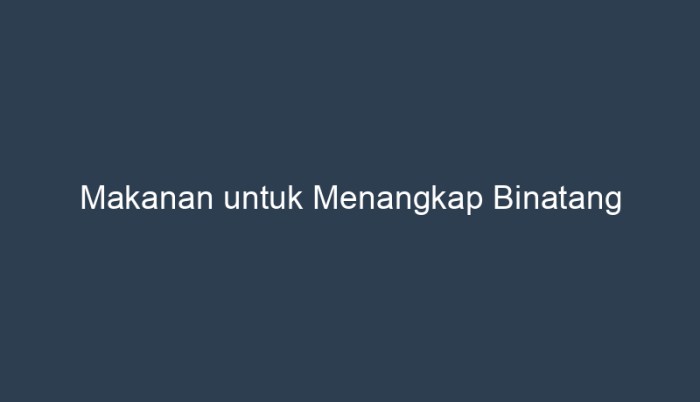 makanan untuk menangkap binatang terbaru