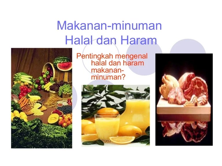 banteng halal atau haram