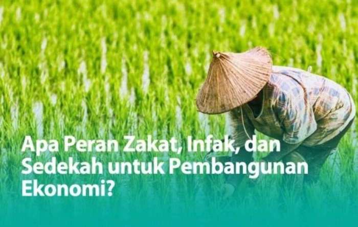 beda zakat infak dan sedekah terbaru