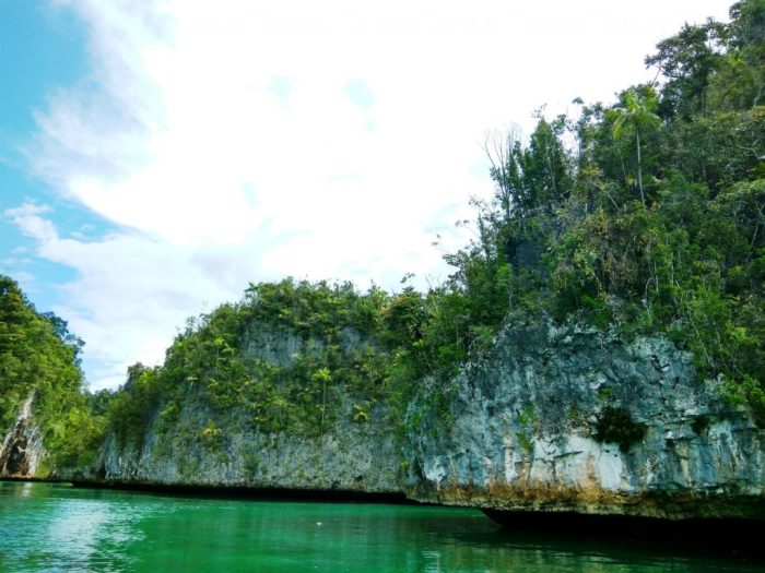 pengertian kawasan pelestarian alam