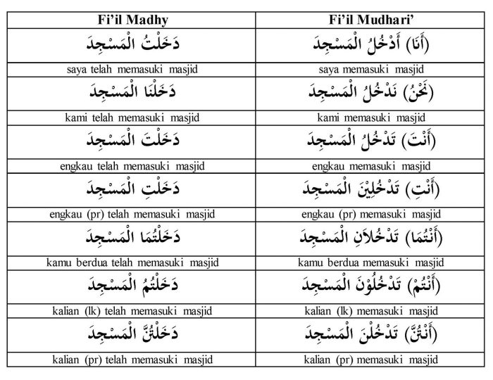 contoh fi il amr dalam al quran terbaru