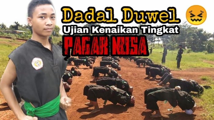 sabuk psht pagar nusa kenaikan perbedaan