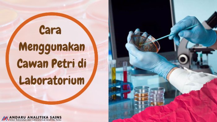 cawan petri laboratorium ukuran