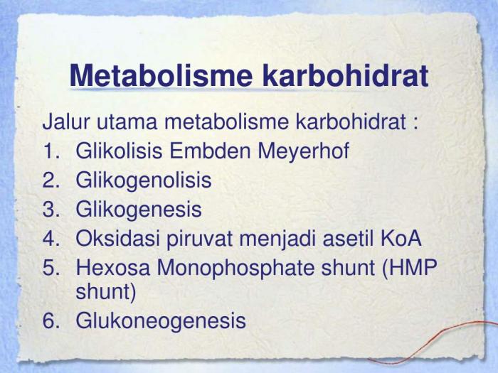 mind mapping metabolisme karbohidrat