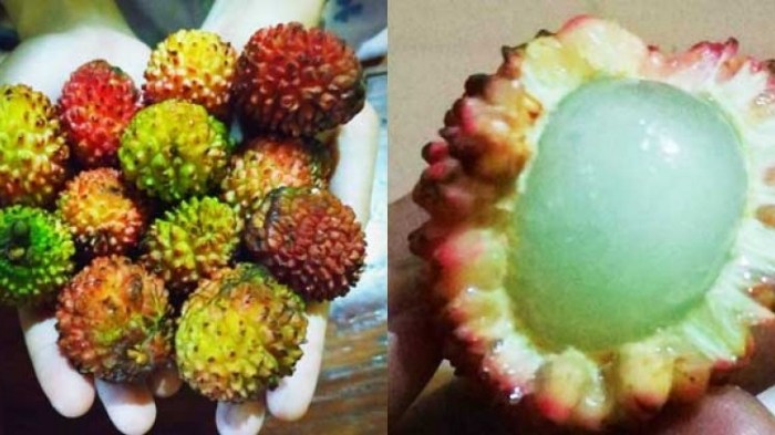 buah yang menjadi ciri khas sebuah kota