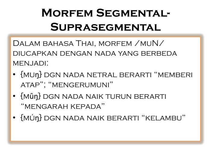 contoh segmental dan suprasegmental