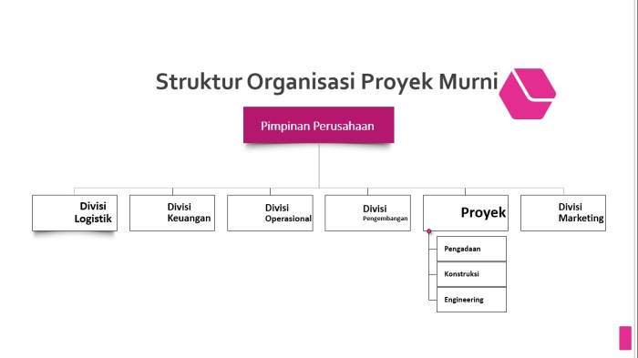 tim vertikal dalam organisasi artinya terbaru