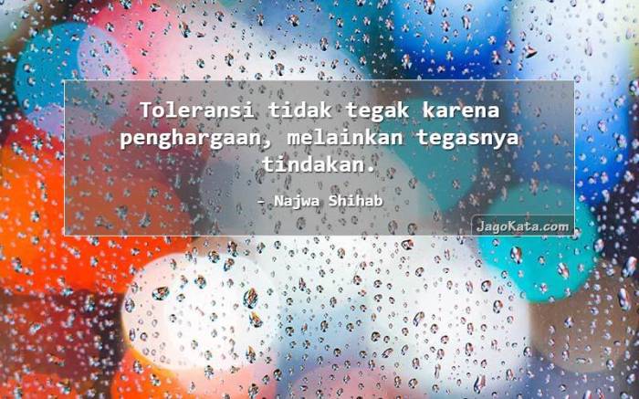 kata lain dari toleransi