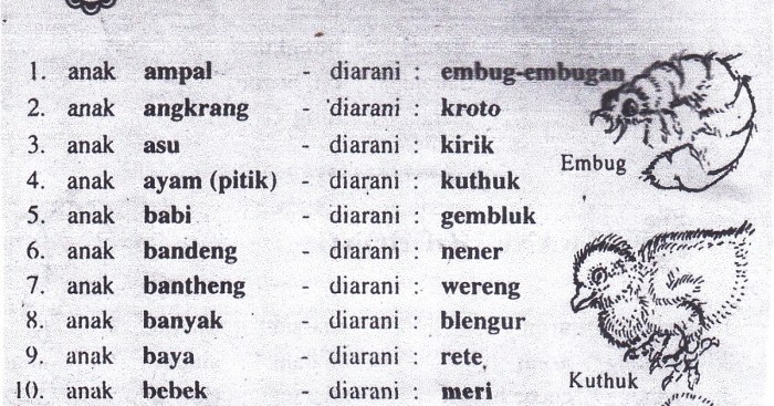 bahasa jawanya lama banget