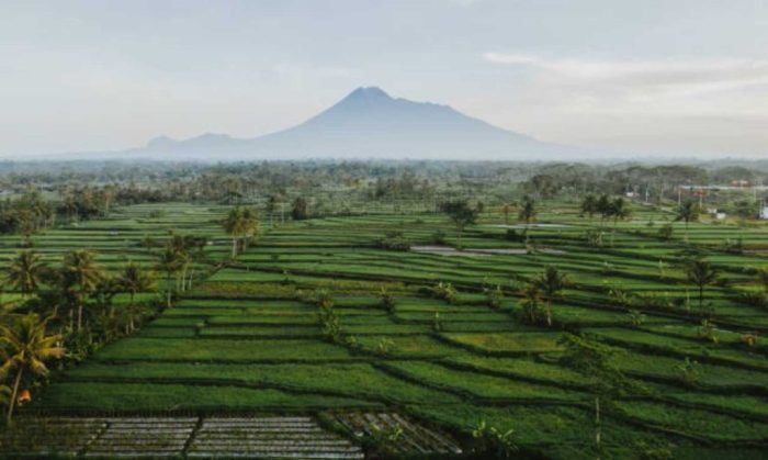 dataran rendah yang ada di kalimantan