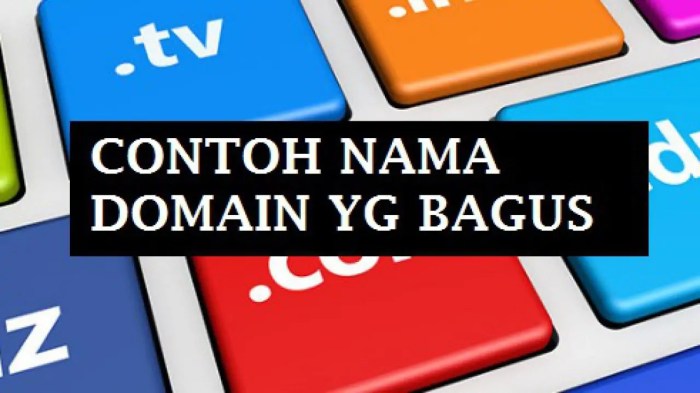 domain name untuk perusahaan adalah