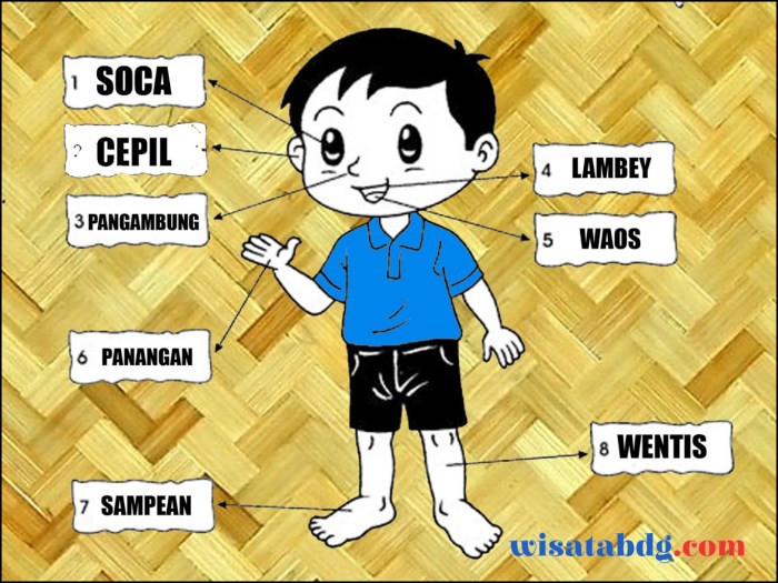 bahasa halus anggota tubuh