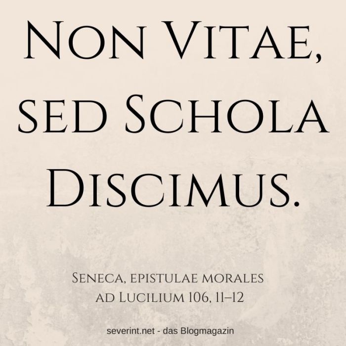 discimus vitae scholae sed