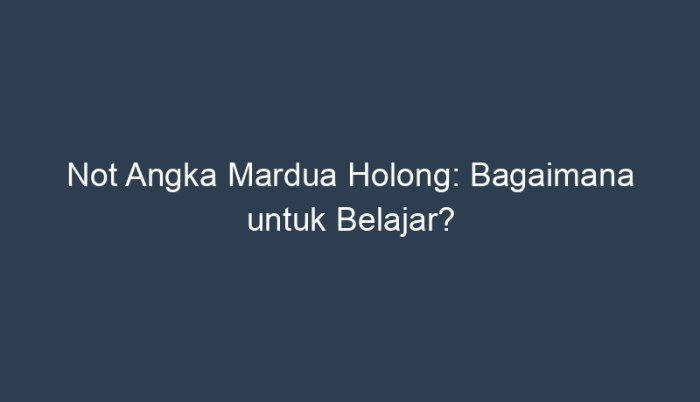 not pianika mardua holong terbaru