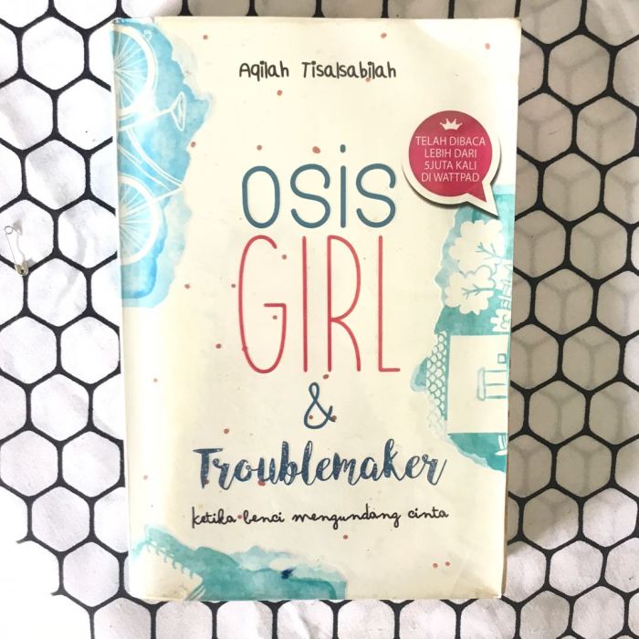 resensi novel osis girl and troublemaker
