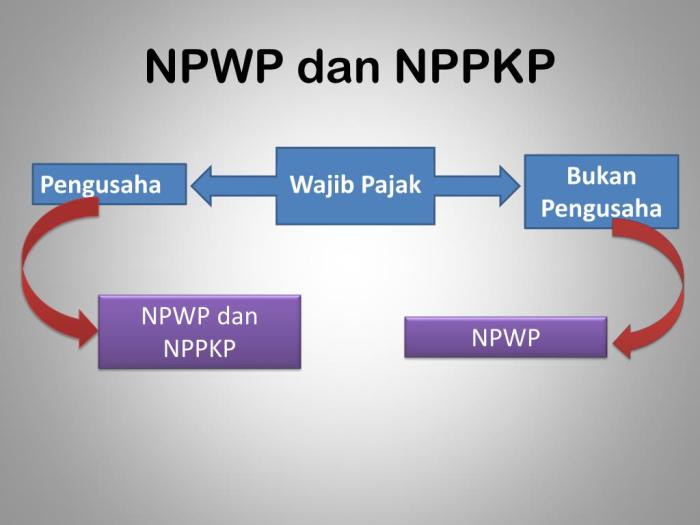 npwp penghapusan pencabutan