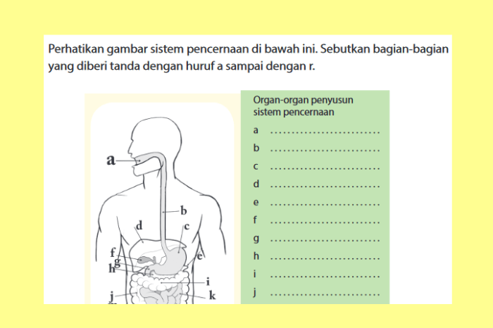 kegiatan sekolah pensi bagian acara surat permohonan sebutkan perpisahan judul menyusun usaha informasi kepala imlek siswa pameran ilusi