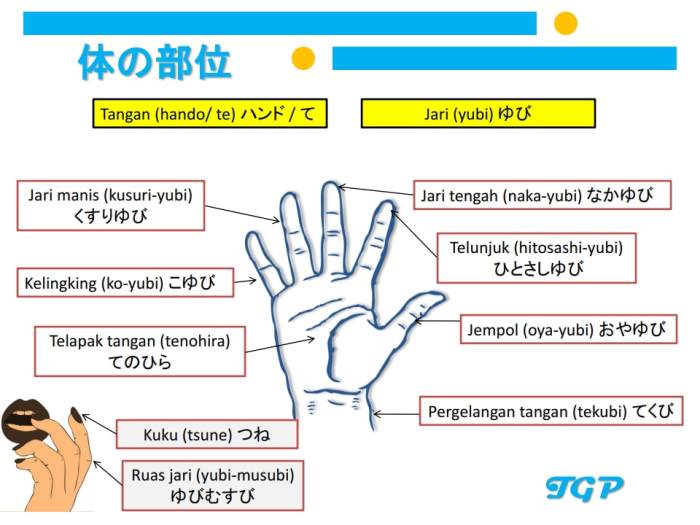 kosakata bahasa jepang katakana terbaru