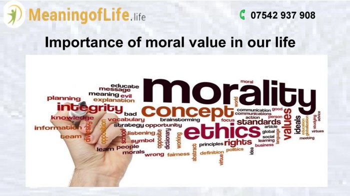 What is the moral value of the text above