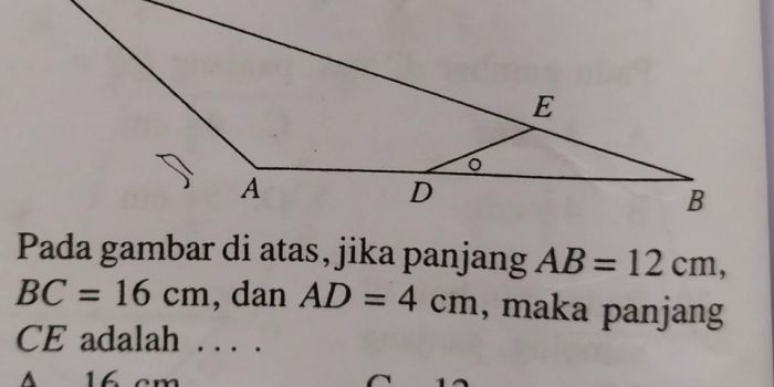 luas segiempat jajargenjang cm2 diatas disamping pelajaran aneka