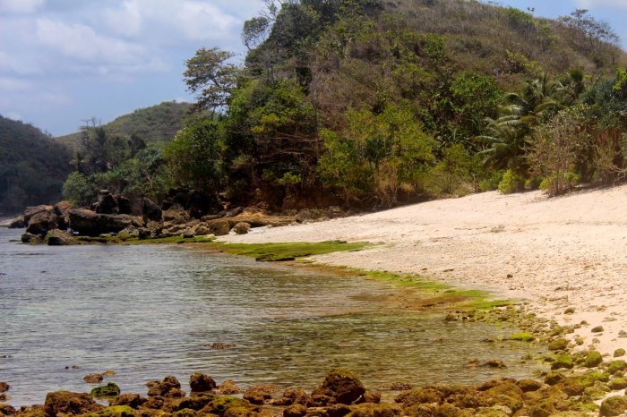 tanah datar berpasir di pantai terbaru