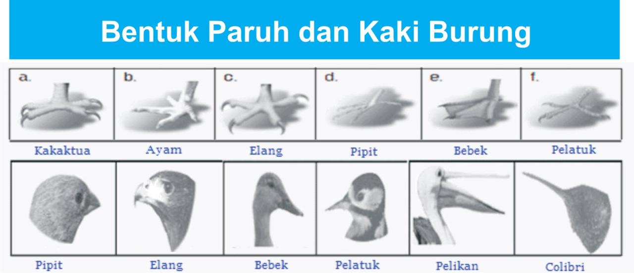 tangan titik telapak organ pada penyakit sakit tubuh ajaib ternyata dipijat garis jari menyembuhkan dapat aculife rahasia berbagai mana tekan