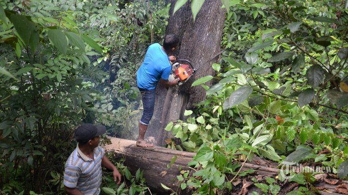 Perpindahan hak milik terjadi pada kegiatan