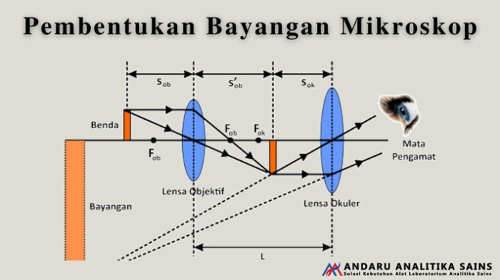 mikroskop perbesaran bayangan