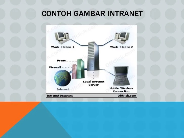 contoh internet dan intranet terbaru