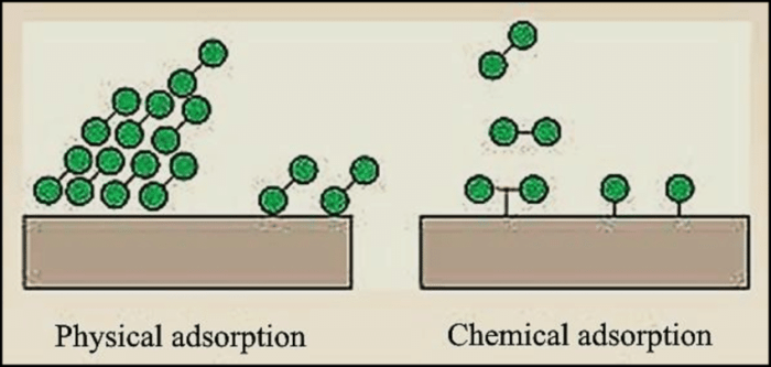 beda absorbsi dan adsorbsi