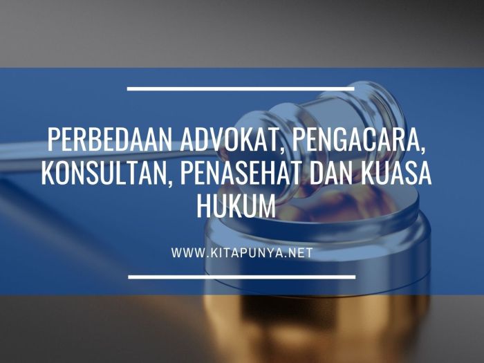 lawyer sarjana peluang hukum pengacara