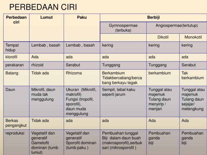 pertanyaan tentang tumbuhan paku