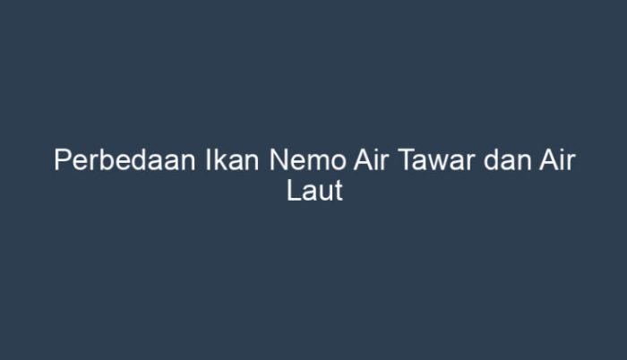 Perbedaan ikan nemo air tawar dan air laut