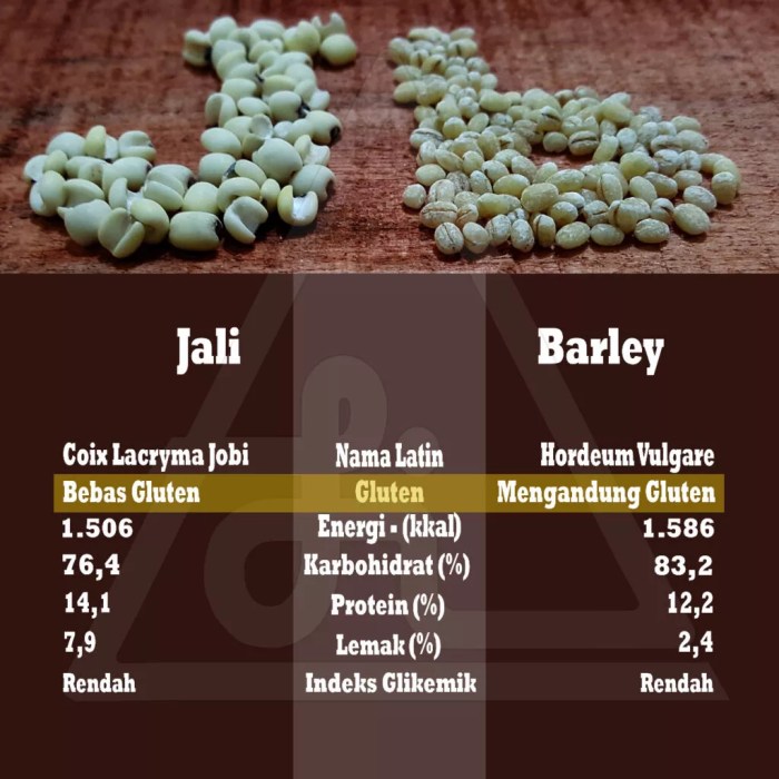 barley manfaat orami memasaknya koko