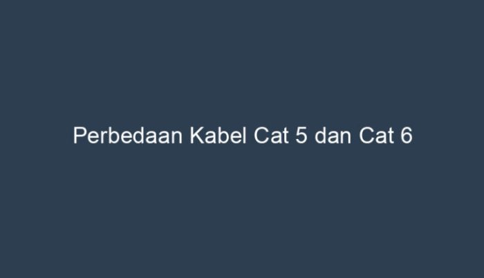 perbedaan kabel cat 5 dan cat 6 terbaru