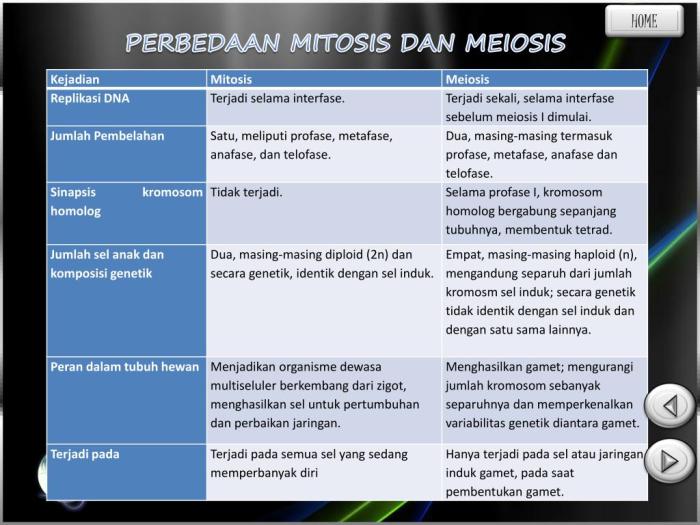 Buatlah tabel perbedaan mitosis dan meiosis