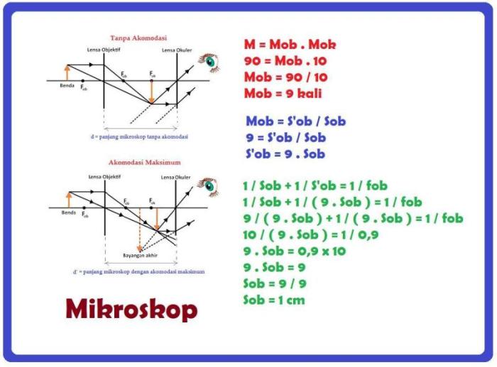 Mikroskop bagian lensa okuler gambar salamadian beserta fungsinya perbesaran sendi objektif bayangan atau gambarnya terlengkap